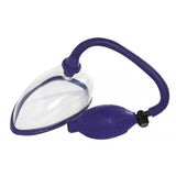 Pussy Pump Purple