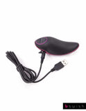 Bswish Bcurious Premium Vibe