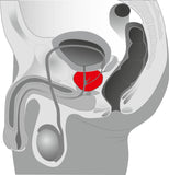 Rocks Off O-Boy 7 Prostate Vibrator