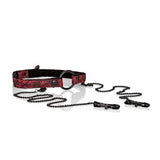 Open Mouth Gag With Clamps